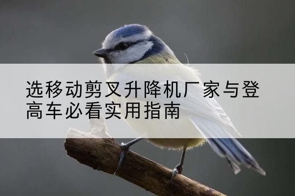 新邱电动升降机厂家-选移动剪叉升降机厂家与登高车必看实用指南