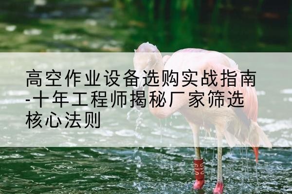 新邱剪叉式升降机厂家-高空作业设备选购实战指南-十年工程师揭秘厂家筛选核心法则