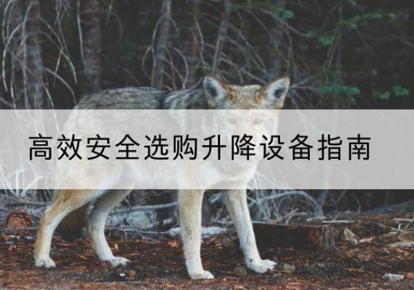 新邱升降货梯厂家推荐-*安全选购升降设备指南