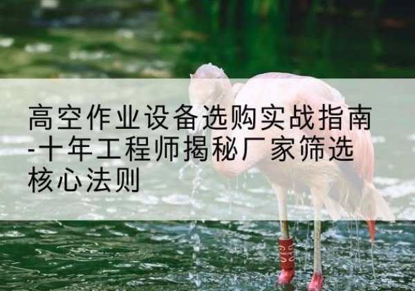 新邱剪叉式升降机厂家-高空作业设备选购实战指南-十年工程师揭秘厂家筛选核心法则